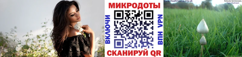 Галлюциногенные грибы MAGIC MUSHROOMS  shop какой сайт  OMG ТОР  Починок  наркошоп 